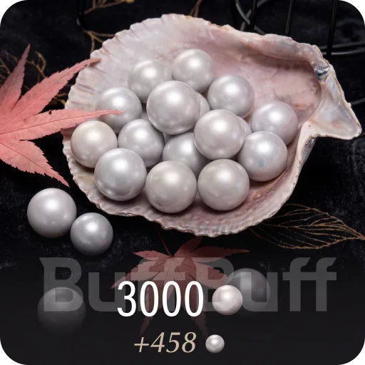 3000+458 回聲珠