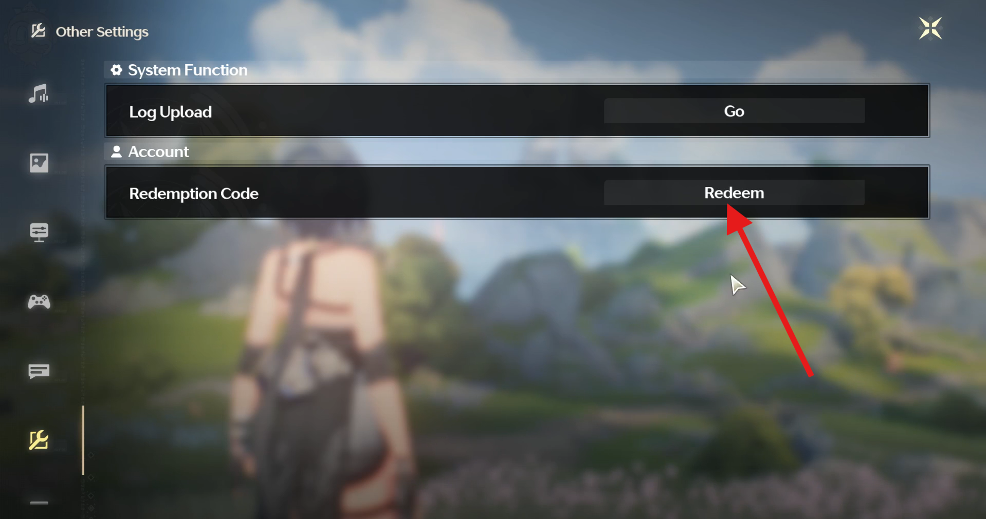 Em “Account”, você encontrará a opção “Redemption Code”. Selecione o botão “Redeem”