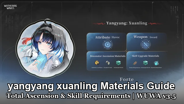 Yangyang Xuanling Materials Guide
