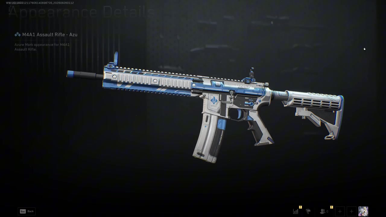 M4A1 Weapon Skin