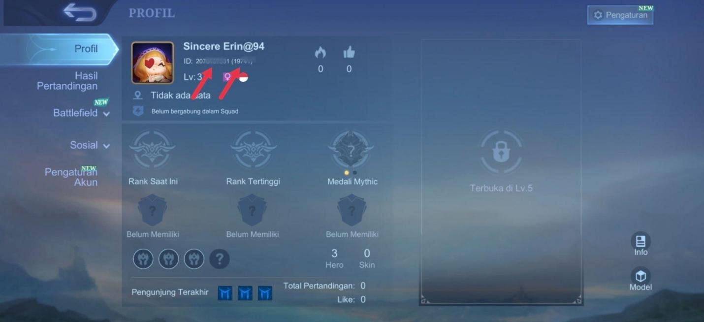 Di sini kamu bakal nemu Game ID dan Zone ID-mu. Biarin halaman ini terbuka dan balik lagi ke browser tempat halaman Redeem tadi.