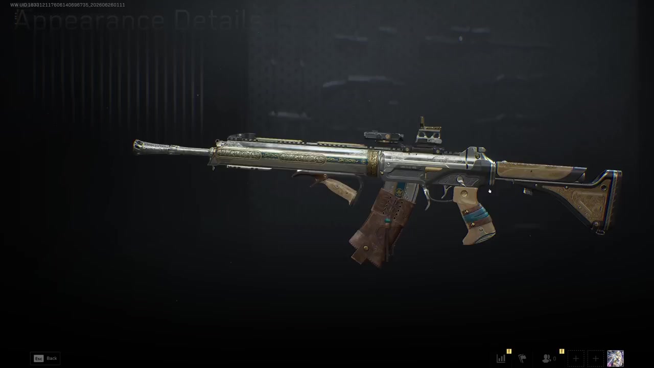 CI-19 Weapon Skin