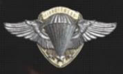 The Airborne Badge reflects Bernard